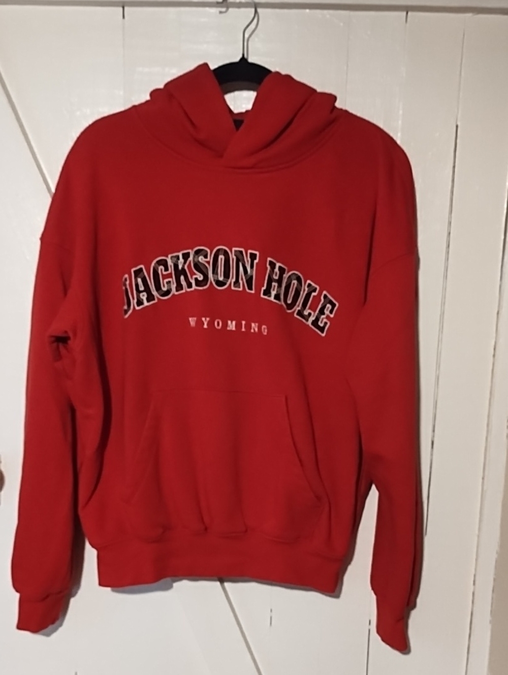 wild fable Red Jackson Hole Graphic Hoodie Unisex Oversized Medium VGC.
